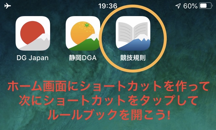 ディスクゴルフ規則